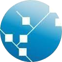 ESI School Logo